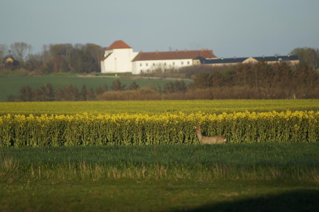 Lokken Farm Holiday Habitación foto